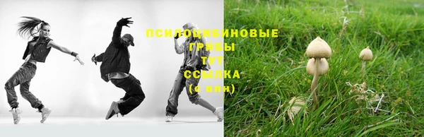 марки nbome Аркадак